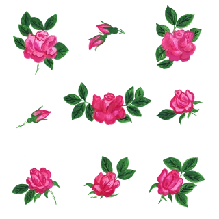 Roses Rose Gardens Stickdatei
