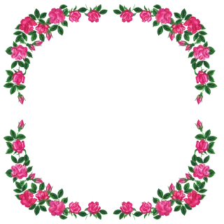 Roses Rose Gardens Stickdatei