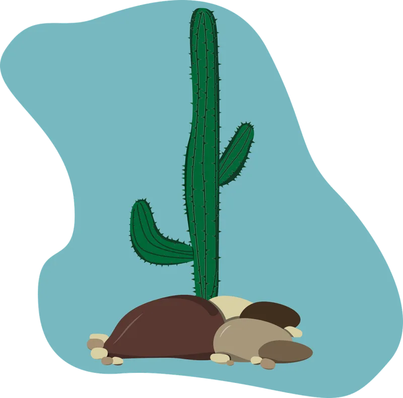 Cactus Illustration Vector Stickdatei – Natur