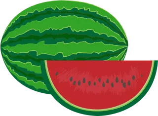 Watermelon Fruit Food Stickdatei