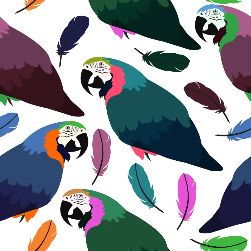 Parrot Feather Background Stickdatei – Natur