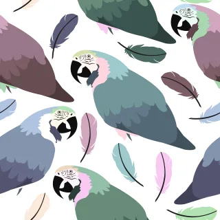 Parrot Feather Background Stickdatei
