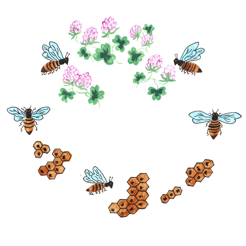 Bees Insects Flowers Stickdatei – Tiere