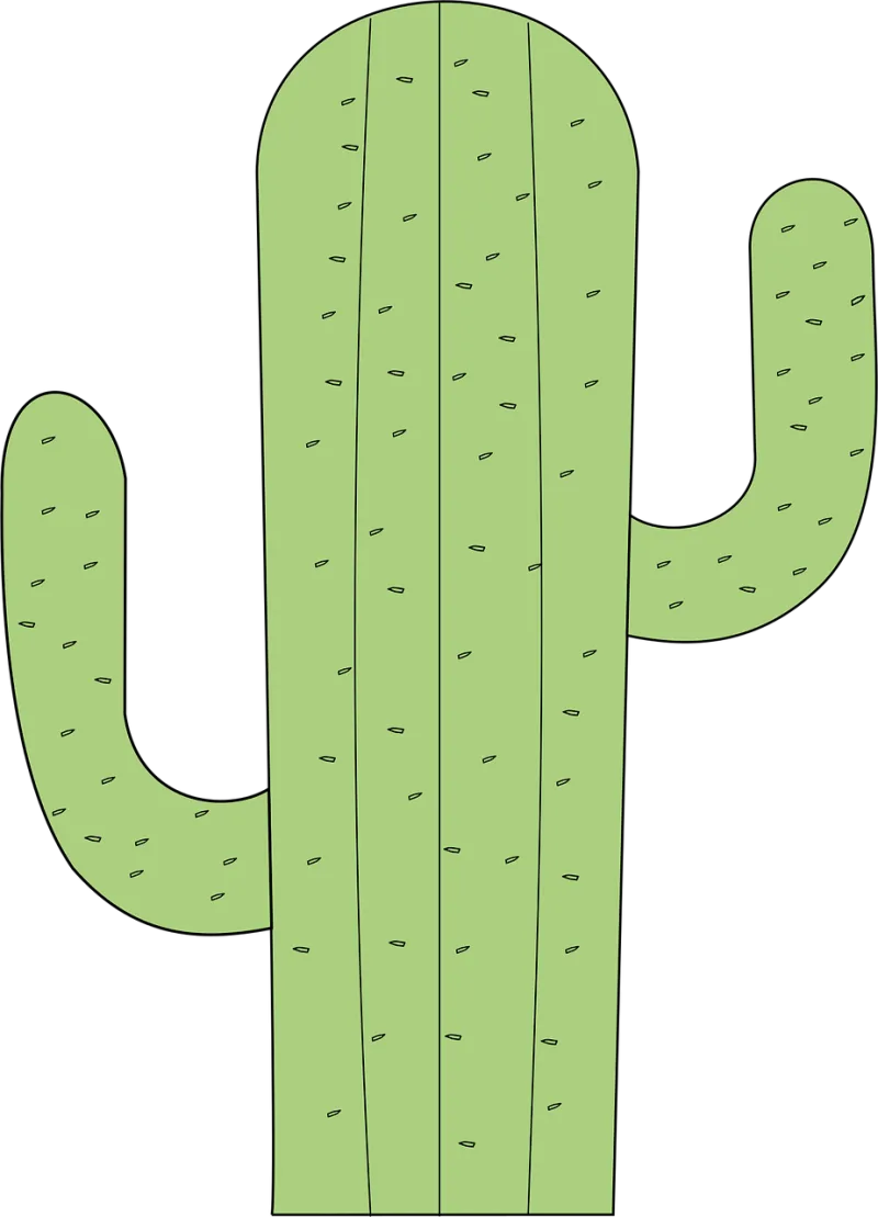 Cactus Plant Succulent Stickdatei – Natur