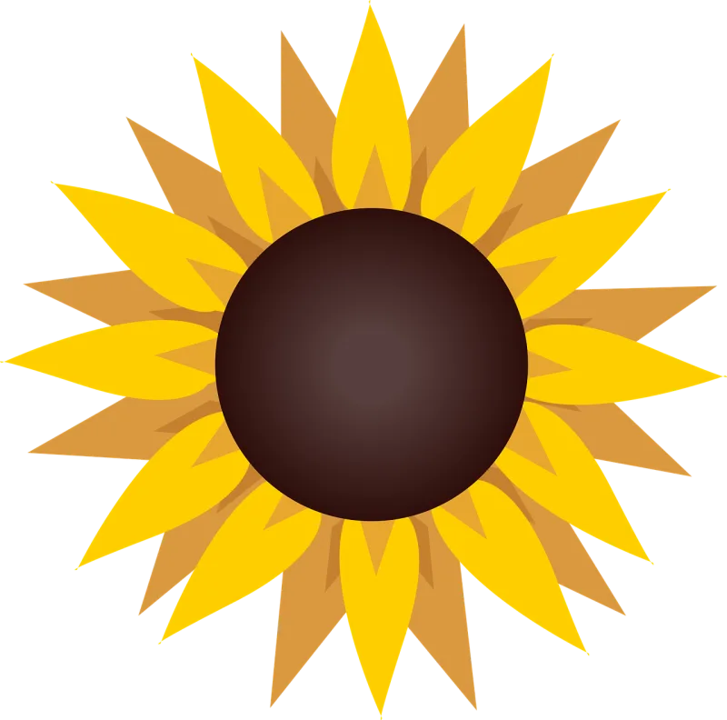 Sunflower Flower Bloom Stickdatei – Blumen