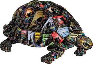 Tortoise Animal Colorful Stickdatei