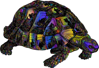 Tortoise Animal Nature Stickdatei