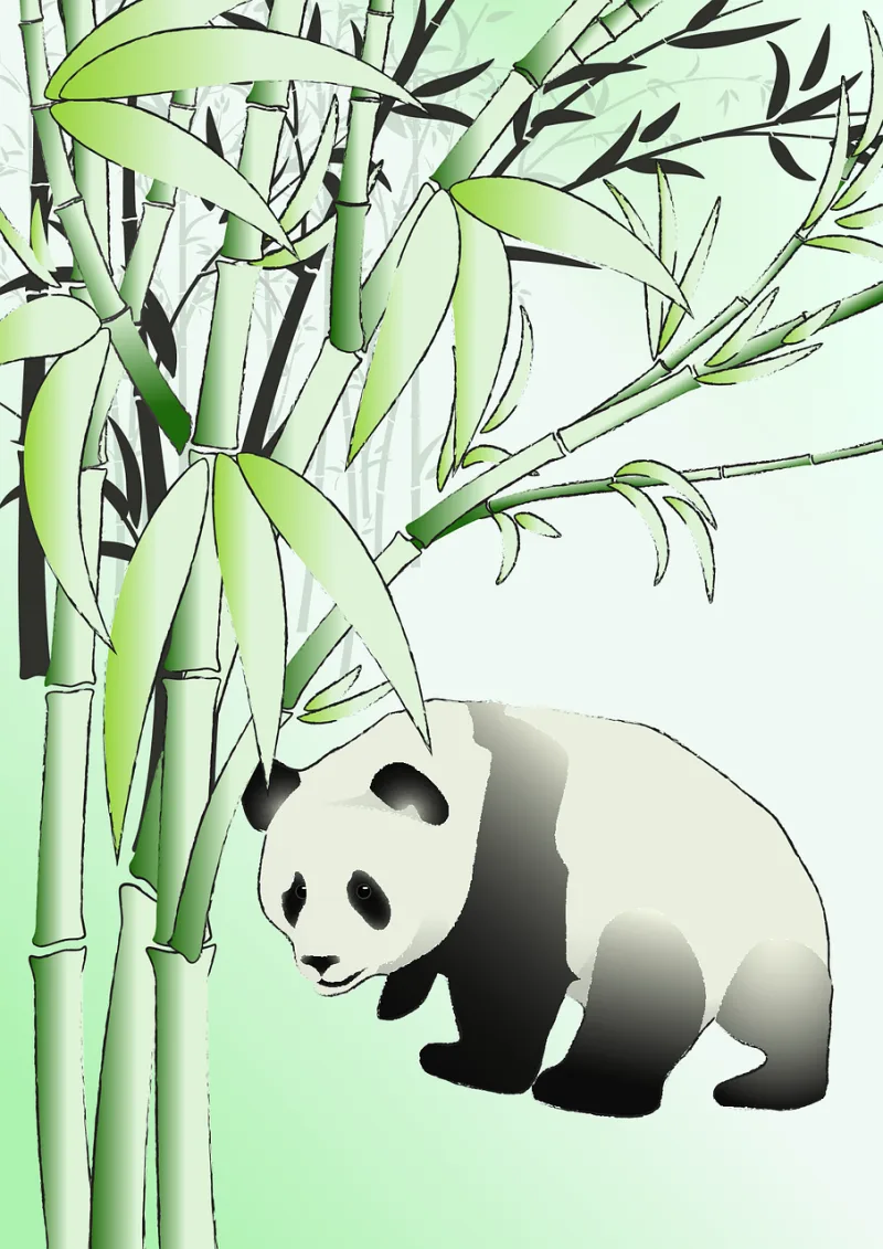 Panda Bear Bamboo Stickdatei – Tiere