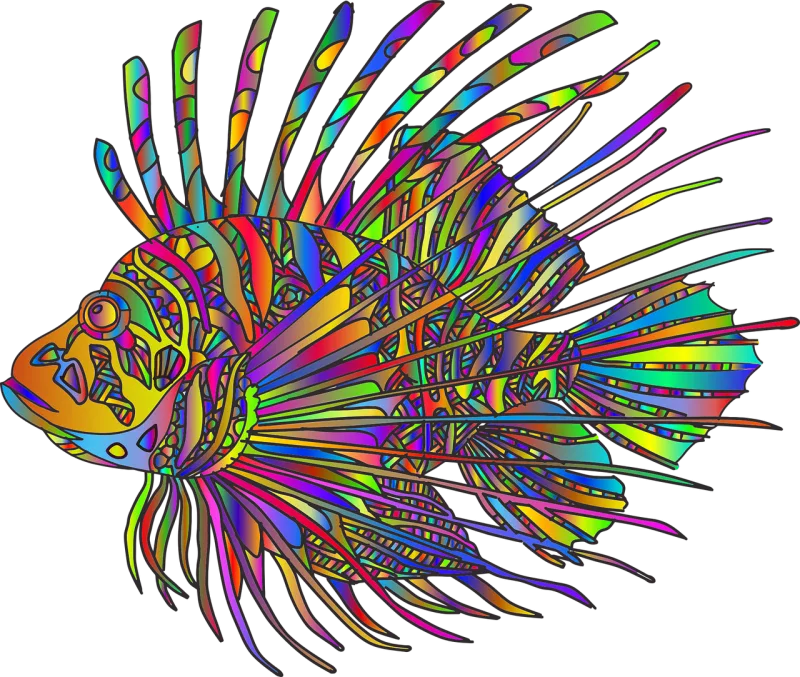 Fish Animal Colorful Stickdatei – Kinder