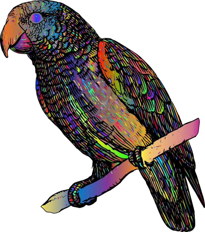 Parrot Bird Nature Stickdatei – Kinder