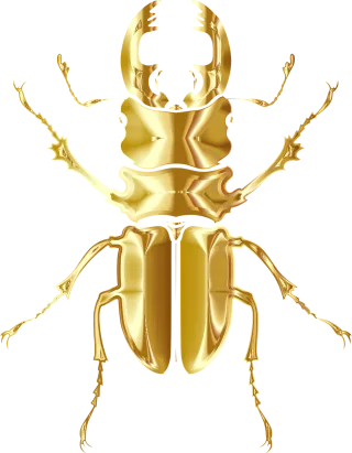 Beetle Insect Animal Stickdatei