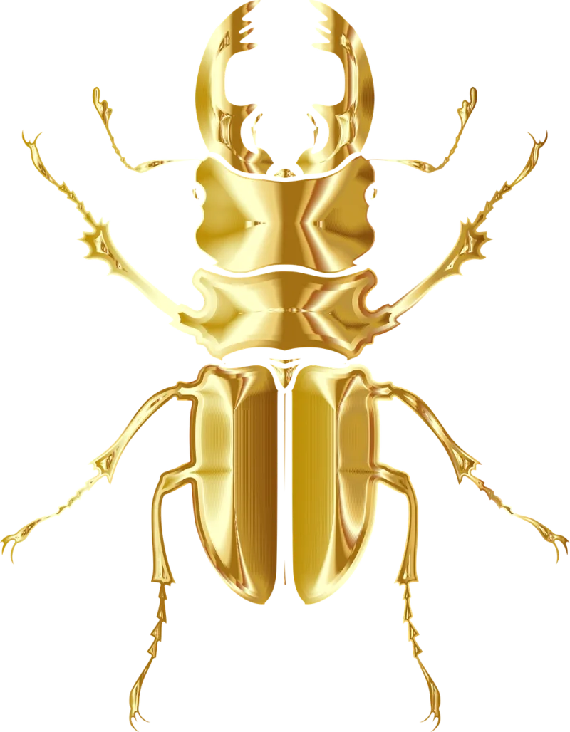 Beetle Insect Animal Stickdatei – Tiere