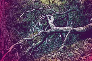 Tree Forest Branches Stickdatei