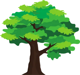 Tree Leaves Branches Stickdatei