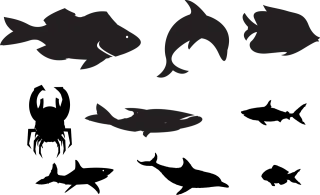 Underwater Creatures Ocean Stickdatei