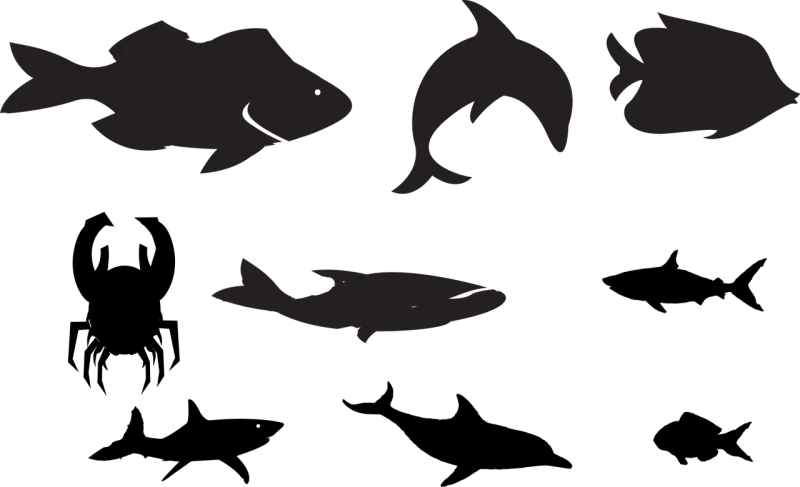 Underwater Creatures Ocean Stickdatei – Tiere