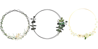 Flowers Nature Frames Stickdatei