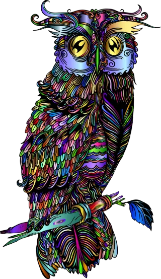 Bird Owl Drawing Stickdatei