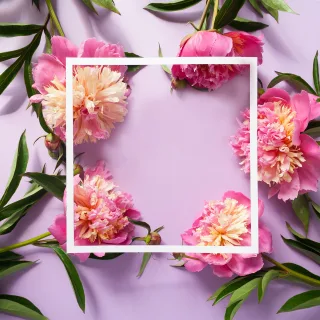 Frame Border Nature Stickdatei – Blumen