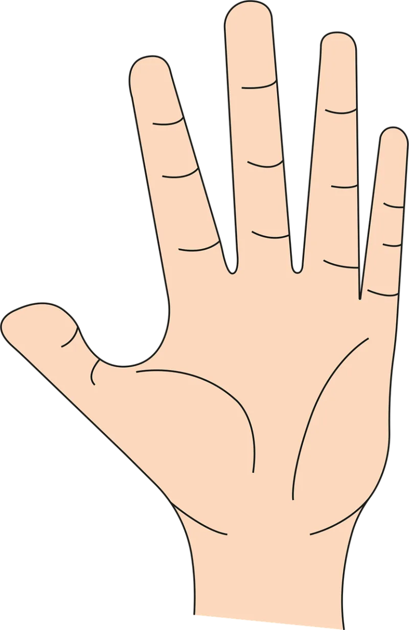 Hand Fingers Palm Stickdatei – Natur