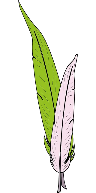Feather Quills Pens Stickdatei