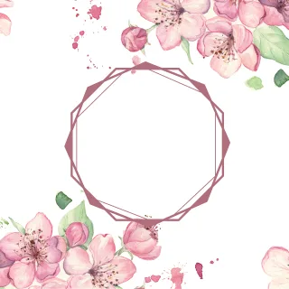 Frame Decorate Copy space Stickdatei