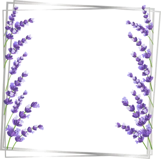 Frame Copy space Design Stickdatei