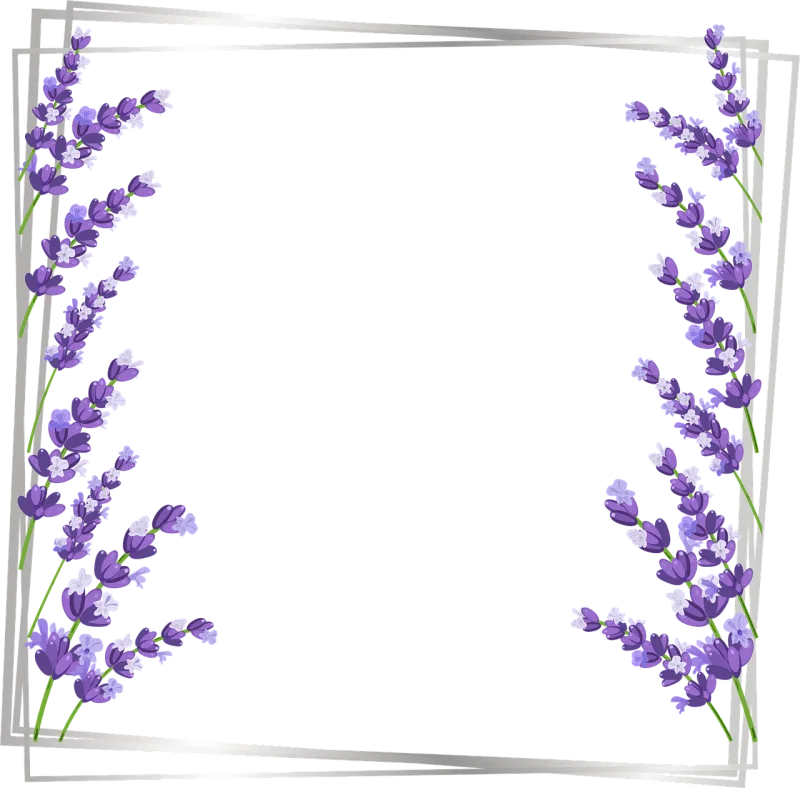 Frame Copy space Design Stickdatei – Blumen