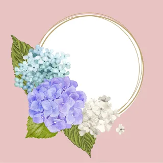 Frame Floral frame Copy space Stickdatei