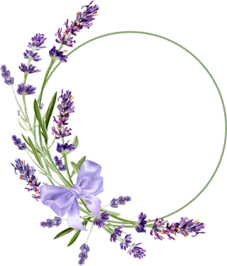 Frame Floral frame Copy space Stickdatei