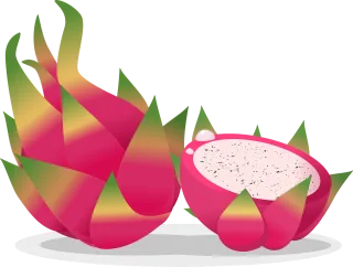 Dragon fruit Fruit Food Stickdatei