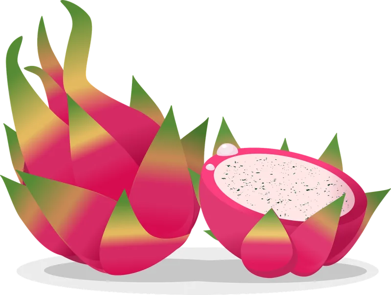 Dragon fruit Fruit Food Stickdatei – Essen & Trinken