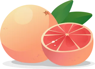 Orange Fruit Food Stickdatei – Essen & Trinken