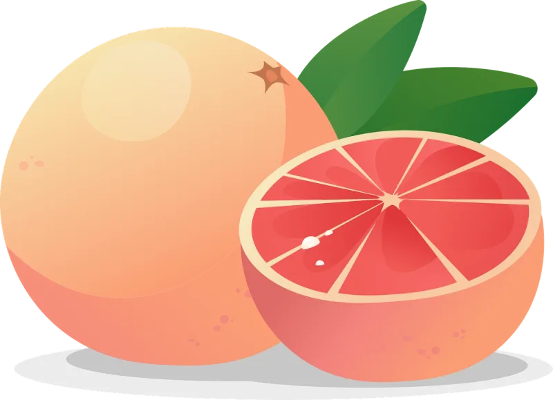 Orange Fruit Food Stickdatei – Essen & Trinken
