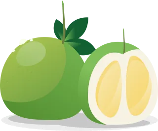 Pomelo Fruit Food Stickdatei
