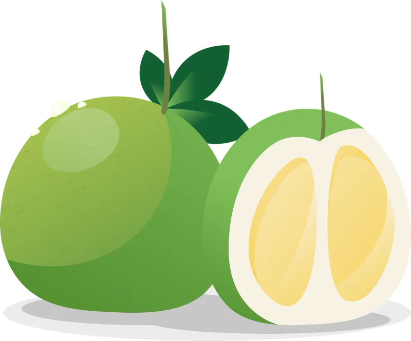 Pomelo Fruit Food Stickdatei – Essen & Trinken