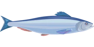 Fish Herring Marine Stickdatei