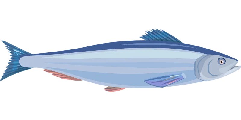 Fish Herring Marine Stickdatei – Tiere