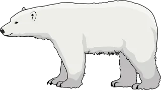 Animal Polar bear Arctic Stickdatei