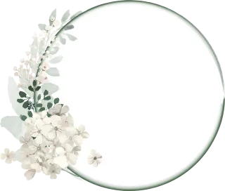 Flowers Rose Petals Stickdatei