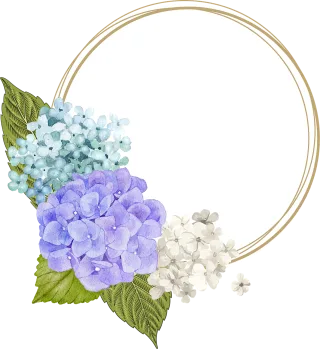 Flowers Frame Beautiful flowers Stickdatei