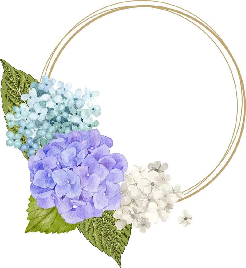 Flowers Frame Beautiful flowers Stickdatei – Blumen