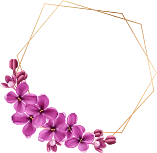 Flowers Frame Floral frame Stickdatei