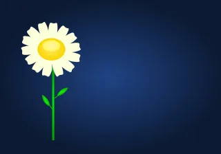 Flower Nature Daisy Stickdatei – Blumen