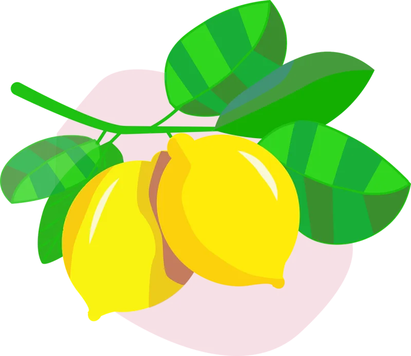 Fruit Lemons Citrus fruit Stickdatei – Essen & Trinken