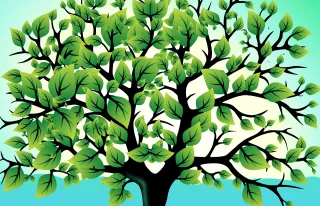 Tree Nature Leaves Stickdatei