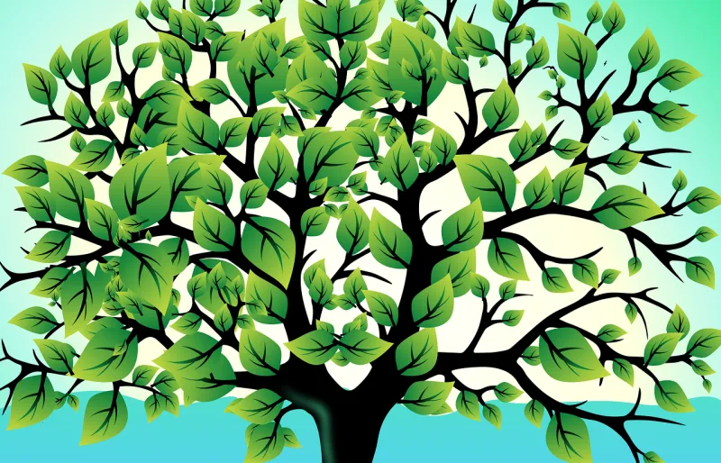 Tree Nature Leaves Stickdatei – Natur