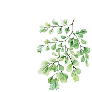 Leaves Green Floral Stickdatei – Herzen & Liebe