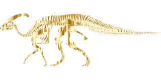 Dinosaur Dinosaur skeleton Fossil Stickdatei