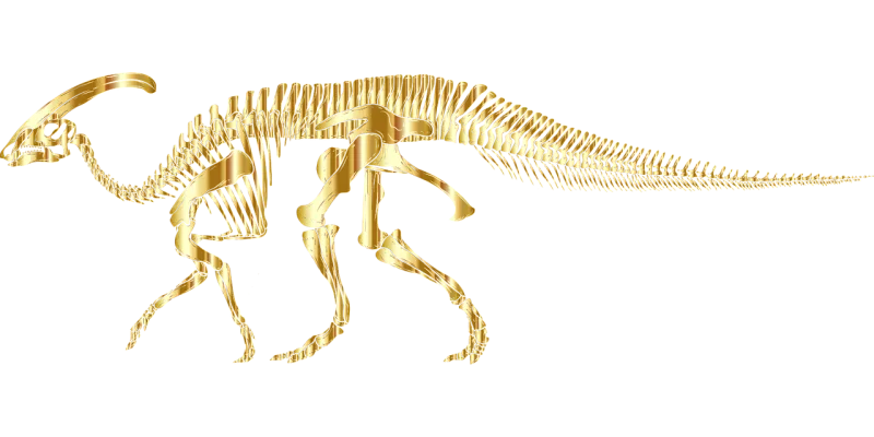 Dinosaur Dinosaur skeleton Fossil Stickdatei – Kinder